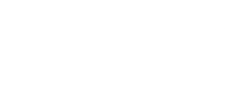 Logo DiveinX